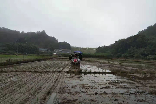 种植基地