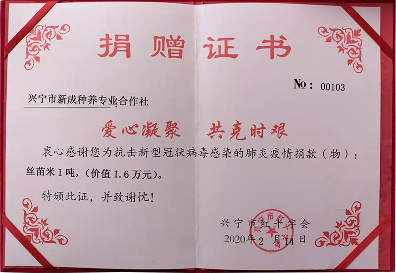 新冠肺炎疫情捐赠证书