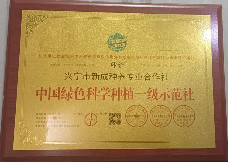 中国绿色科学种植一级示范社